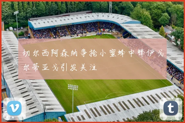 切尔西阿森纳争抢小蜜蜂中锋伊戈尔蒂亚戈引发关注